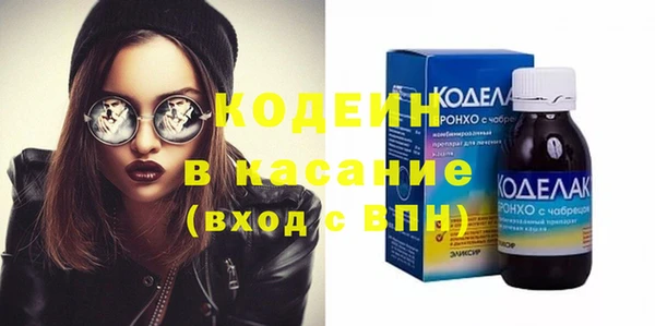 индика Алексин