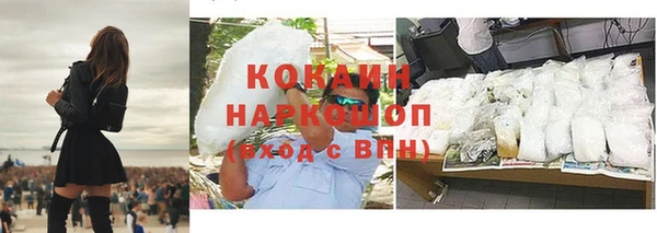 индика Алексин