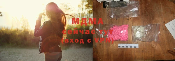 индика Алексин