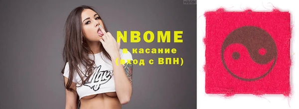 индика Алексин