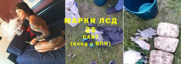 индика Алексин