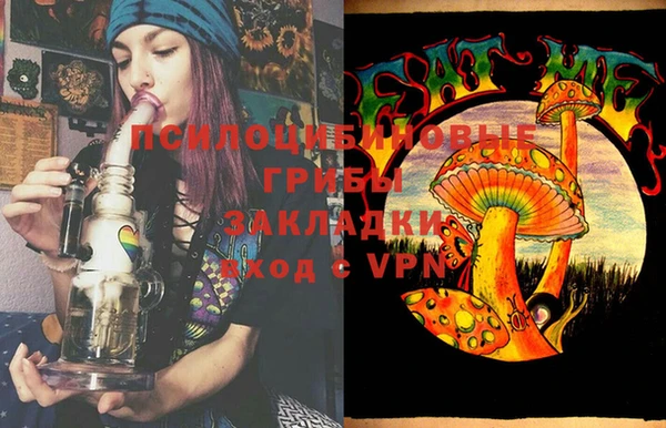 индика Алексин